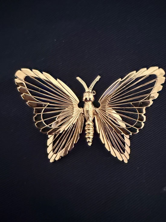 Jewelry - Gold Butterfly Brooch - Delicate Filigree Wings